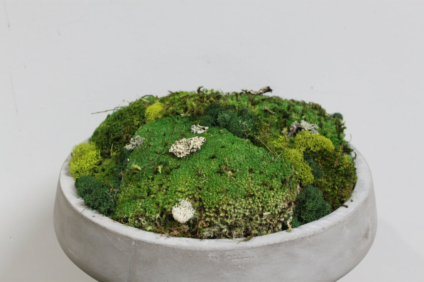 Custom Moss Bowls
